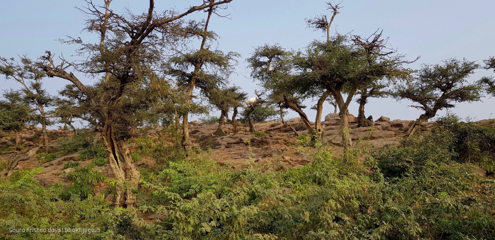 Govardhan hill. 2018.03.14